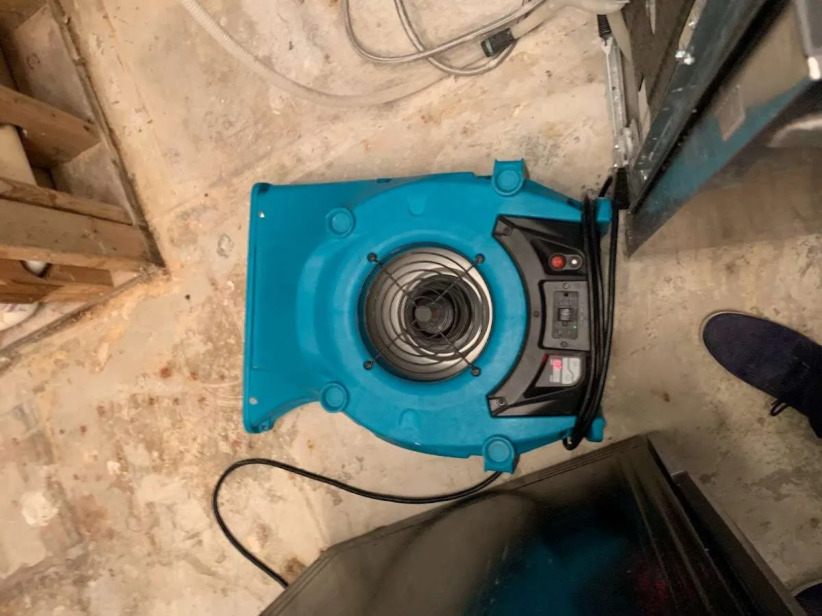 Air mover drying equipment for Mold Remediation & Removal in Hobart