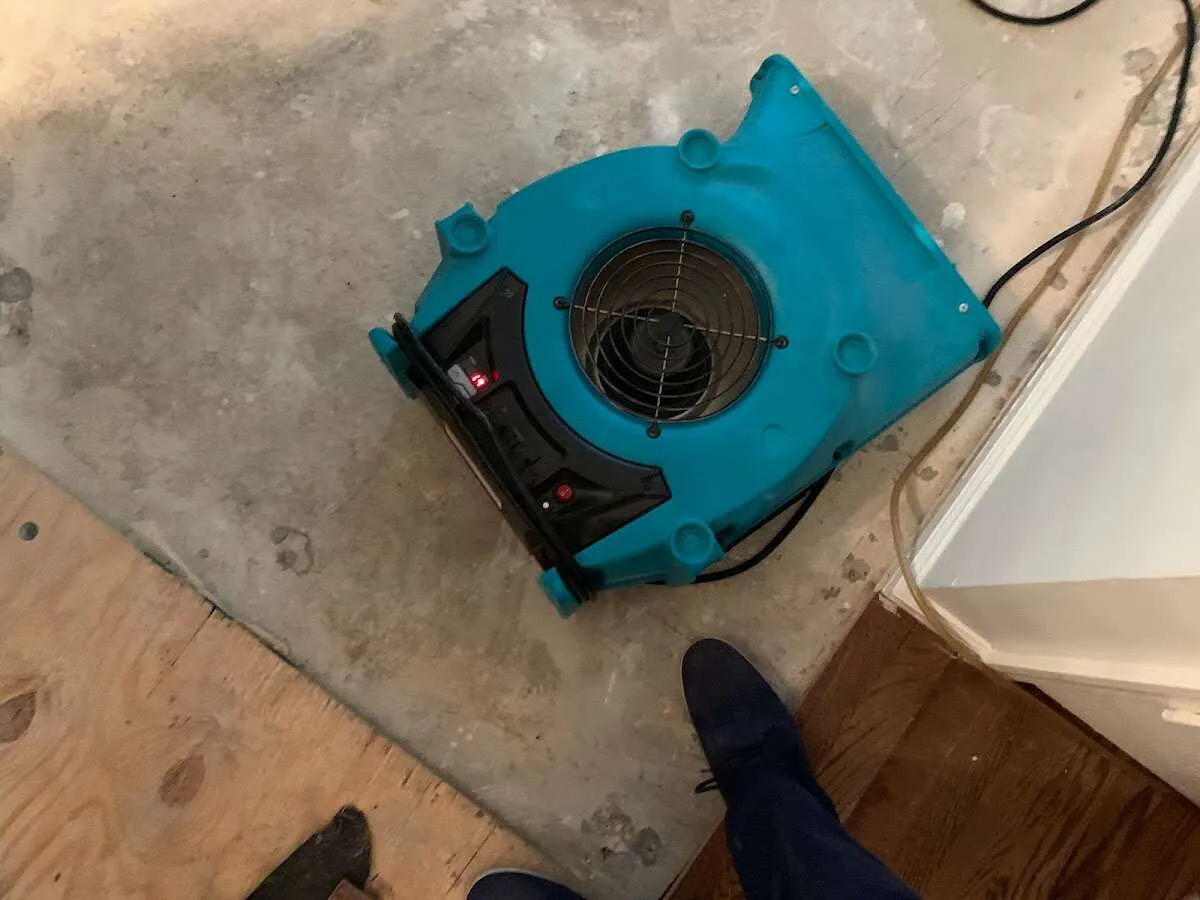 Air mover drying subfloor during Commercial Water Damage Restoration in Hobart